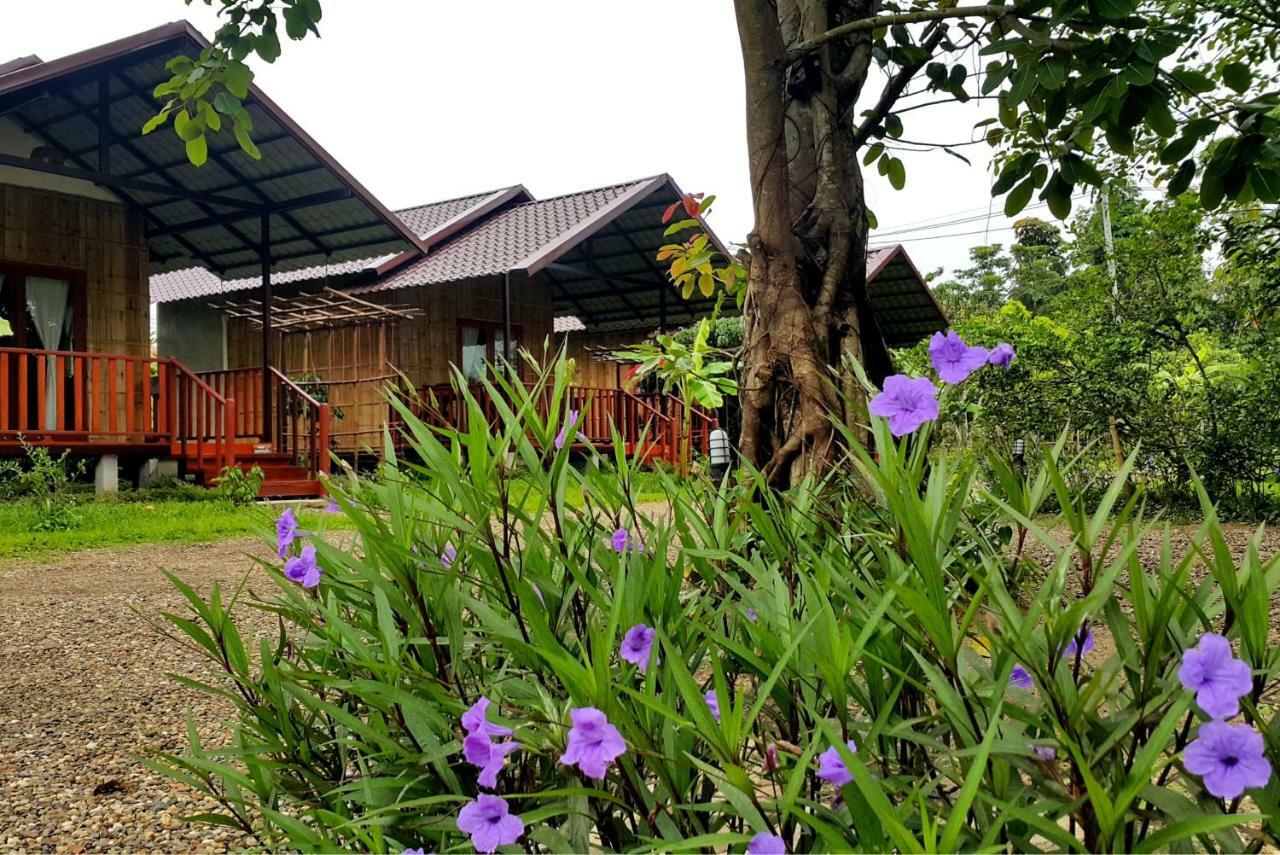 Chiang Dao Reset 호텔 외부 사진